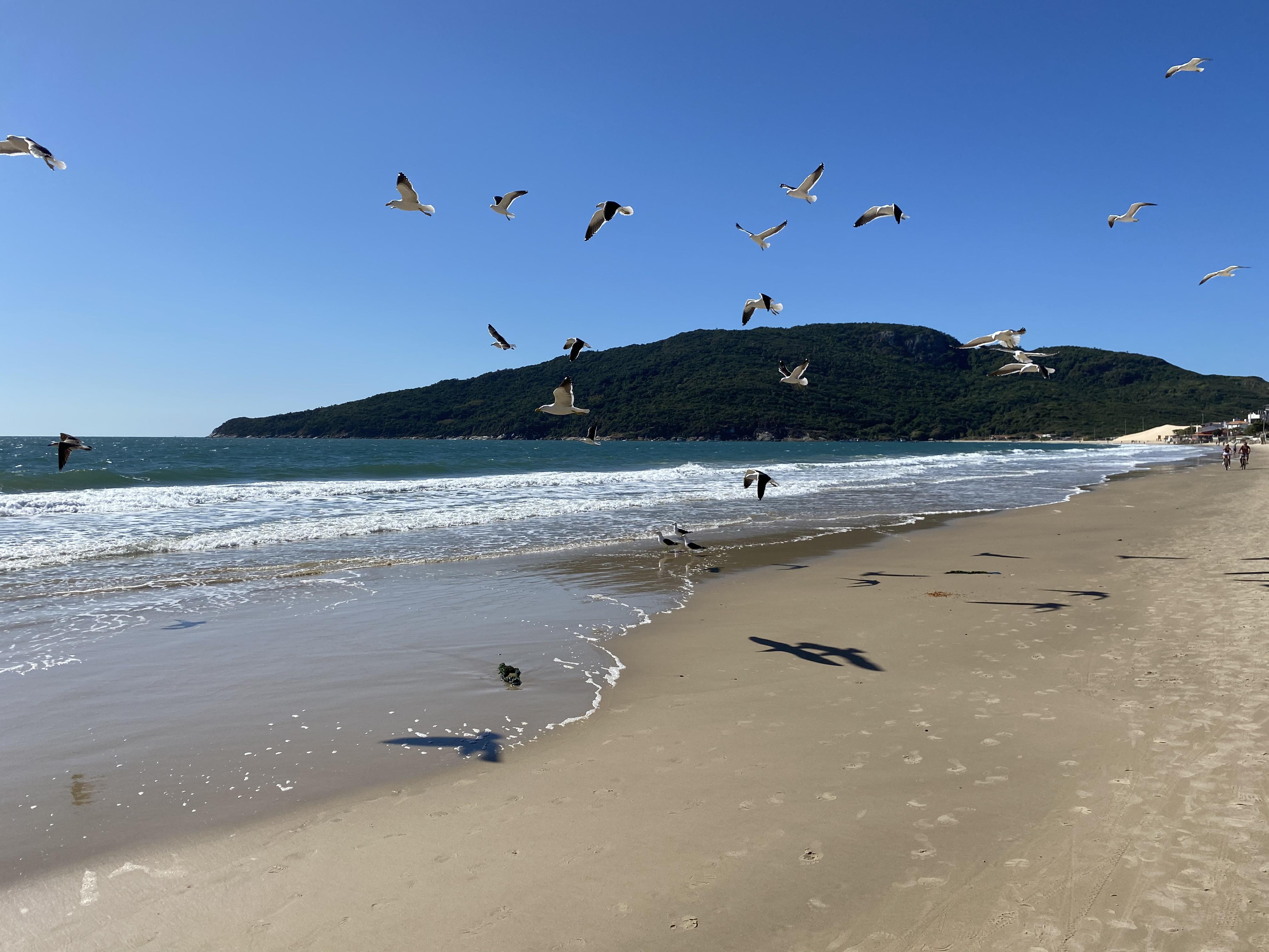 Hotel & Pousada Favareto - Praia Dos Ingleses — Photos 2